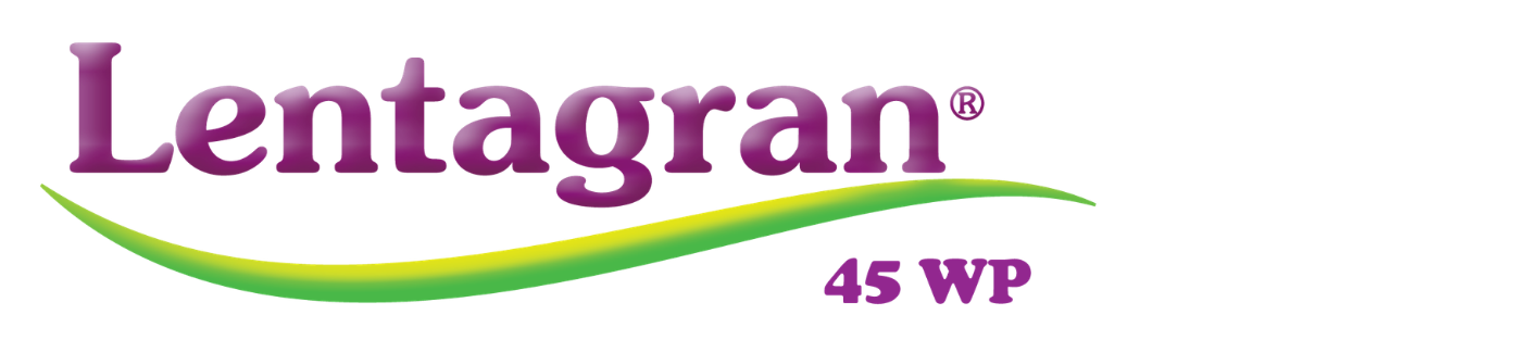 Lentagran 45 WP is een contactherbicide voor vele groentegewassen